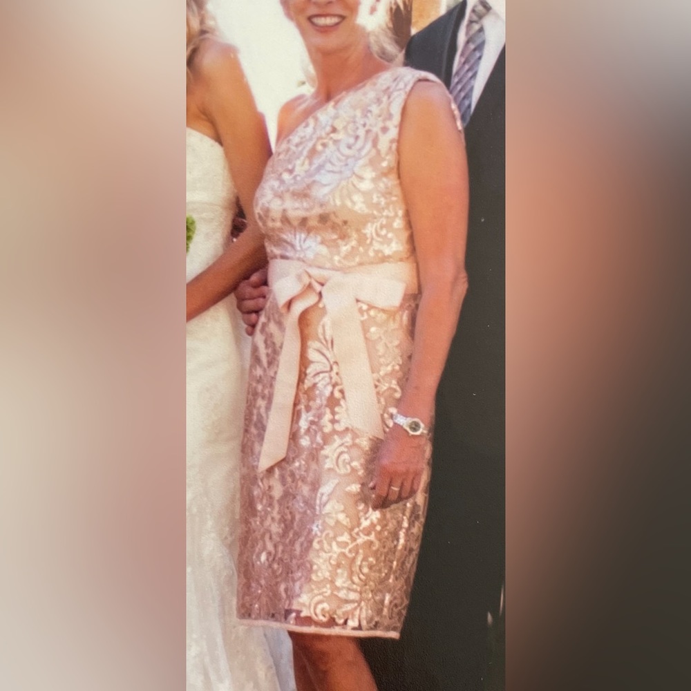 Exquisite sequin semi formal soft blush/beige. Perfect condition. Worn once.